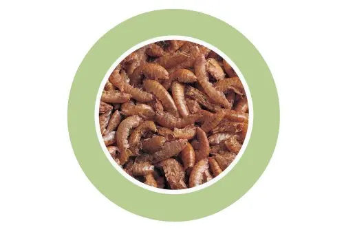 Padovan Gammarus Turtle Snack – 100ml (12g) Natural Shrimp