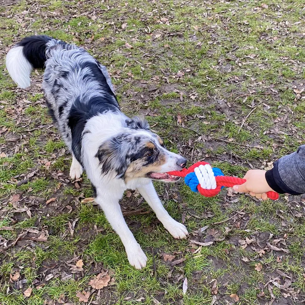 Duvo+ Papa Smurf Rope Ball Dog Toy – 42cm with 2 Loops