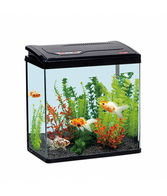 Karis PY-Series Aquarium – 300×180×300 mm – Black Compact Tank