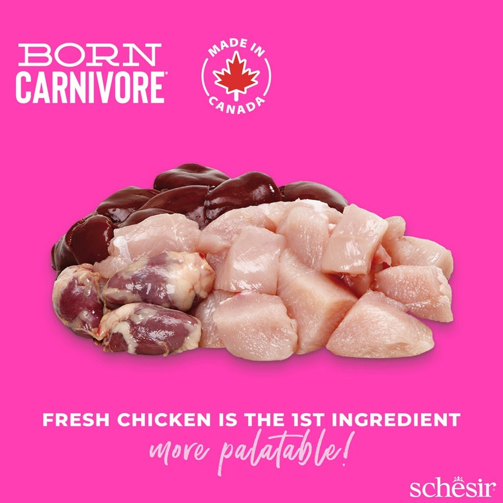 Schesir Born Carnivore Kitten Chicken & Egg Dry food 1.25kg
