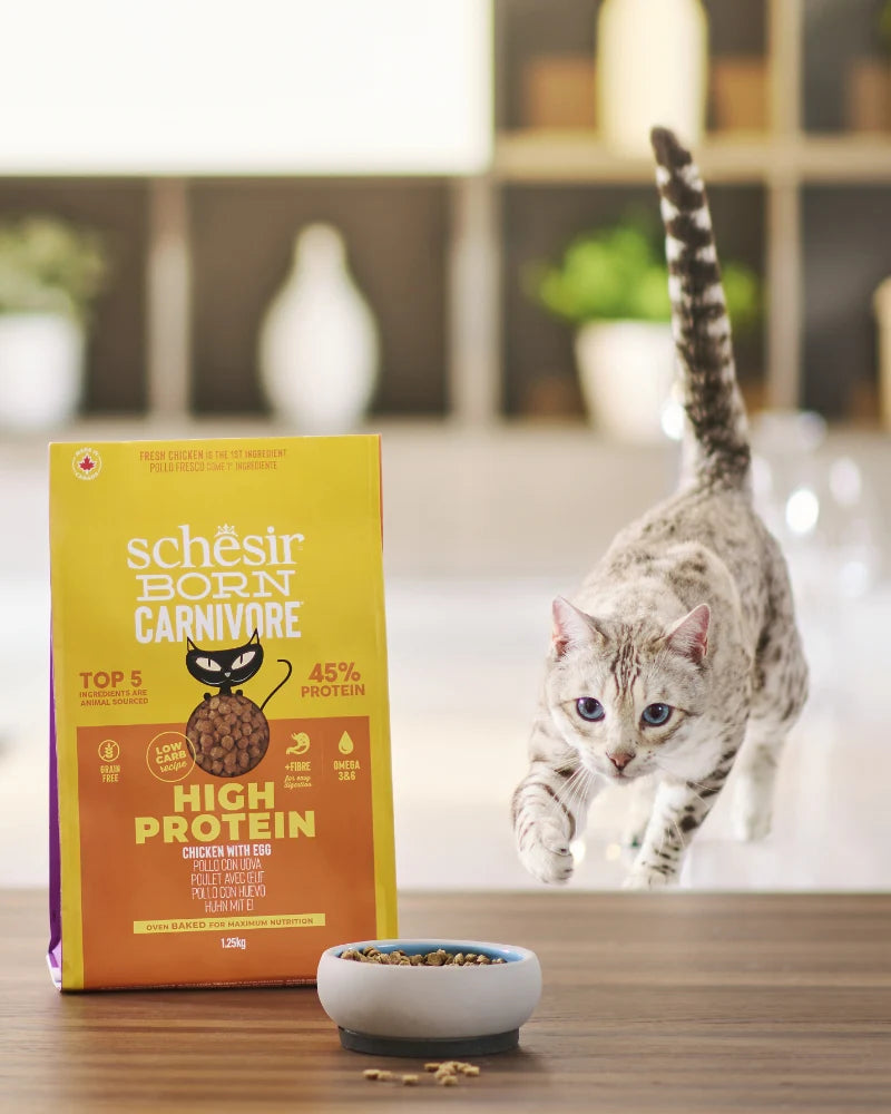 Schesir Born Carnivore Chicken & Egg Dry cat food 1.25kg
