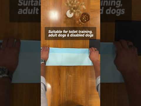 Duvo+ Pet Pads Premium XXL – 60x90cm, Green Tea Scent, 30pcs