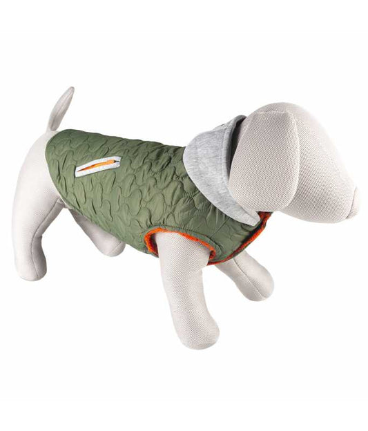 Duvo+ Urban Dog Jacket Grey/Green – XL (70cm)