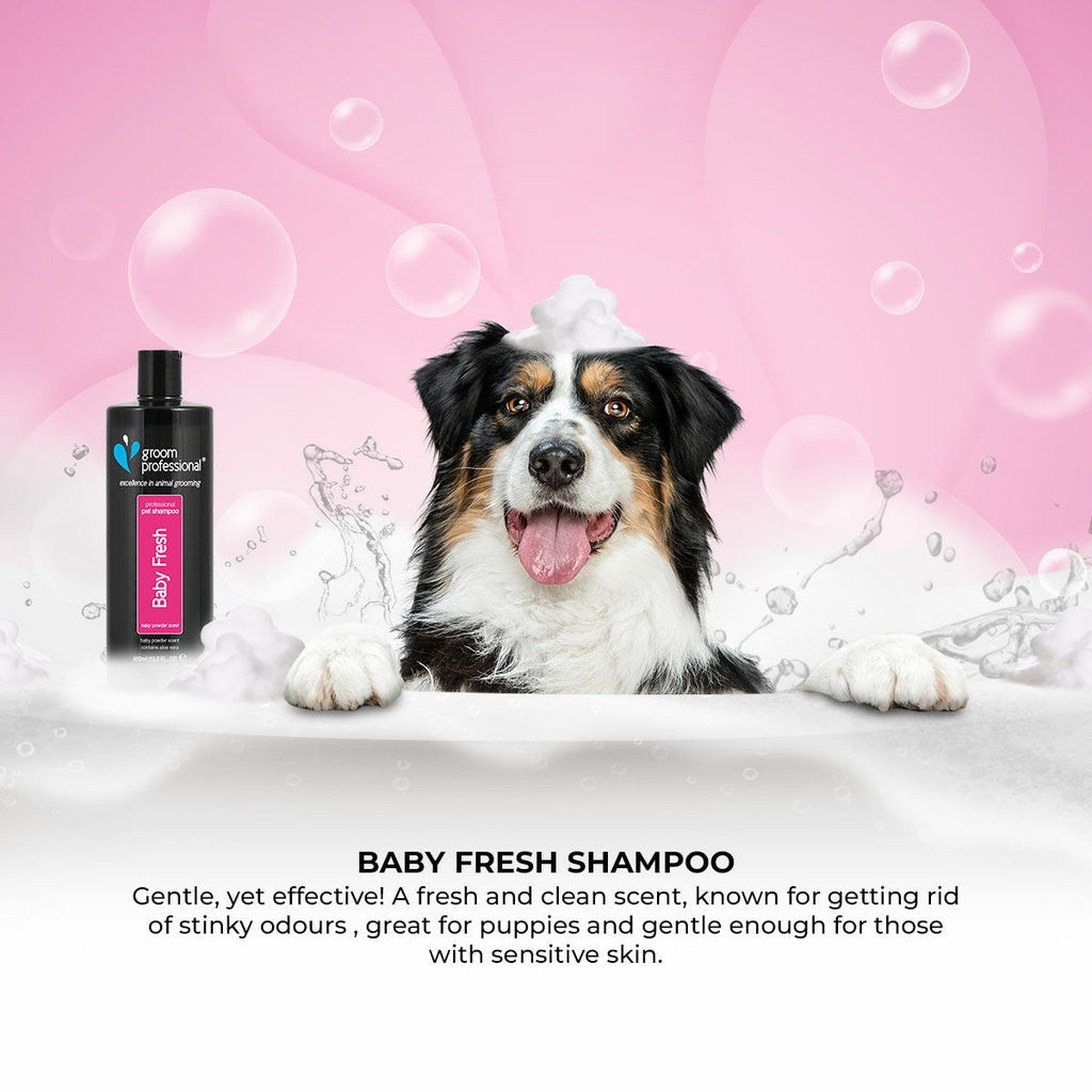 Groom Professional Baby Fresh Shampoo – 450ml Gentle Formula