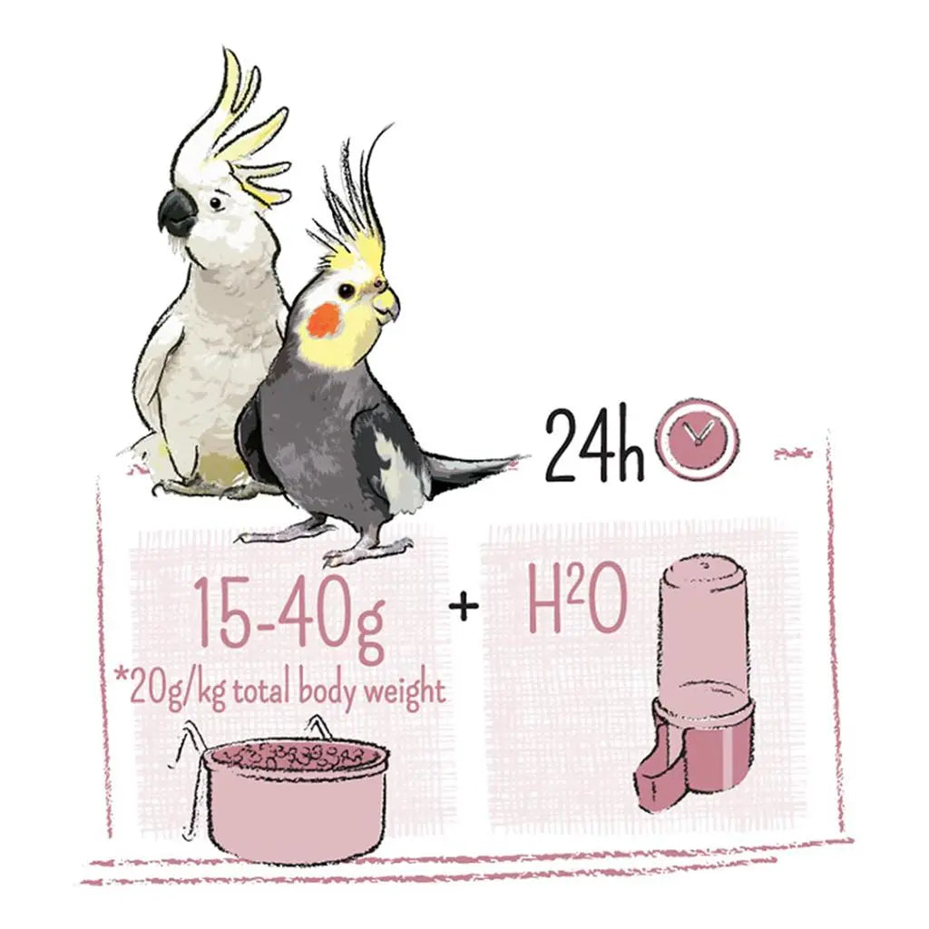 Witte Molen Puur Large Parakeet & Cockatoo Food – 750g Starter Pack