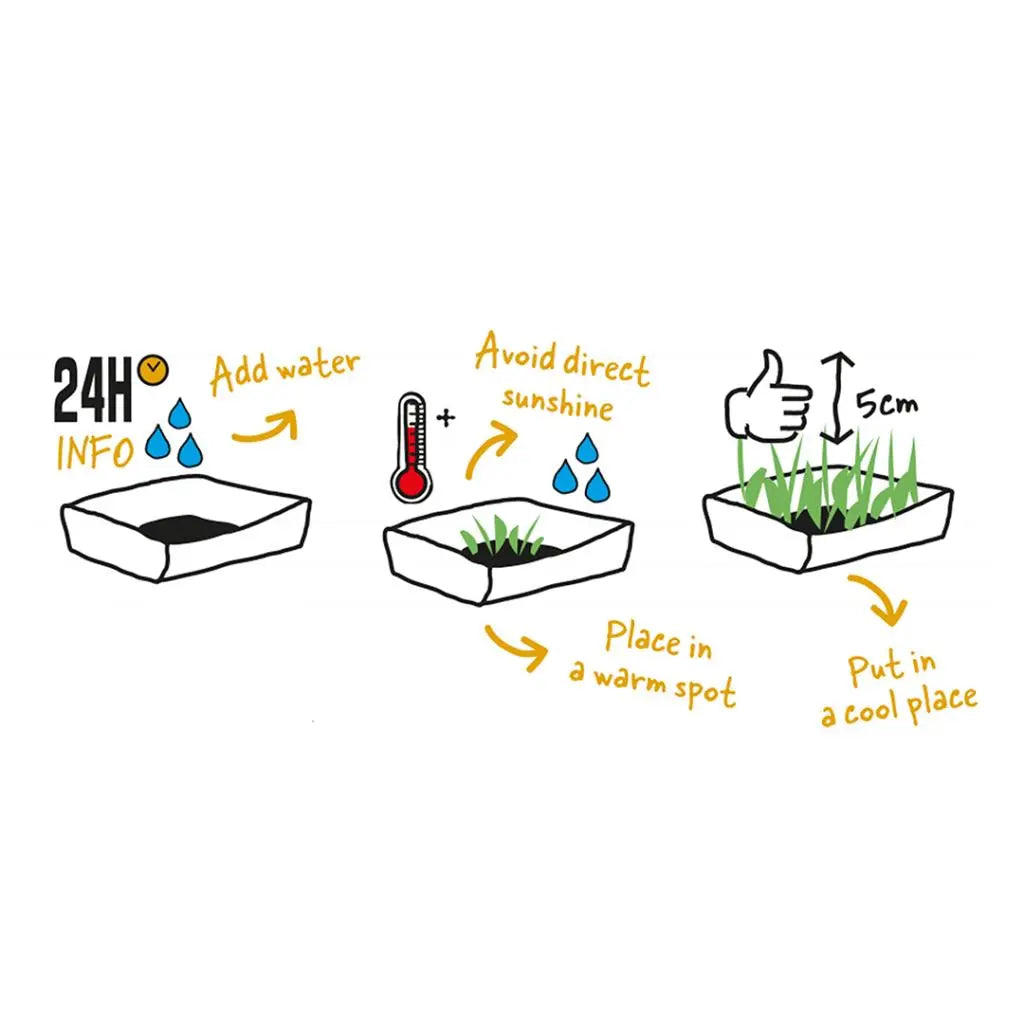 Duvo+ Rabbit Grass Growing Kit for Small Animals 70g – 17.5x13x3cm