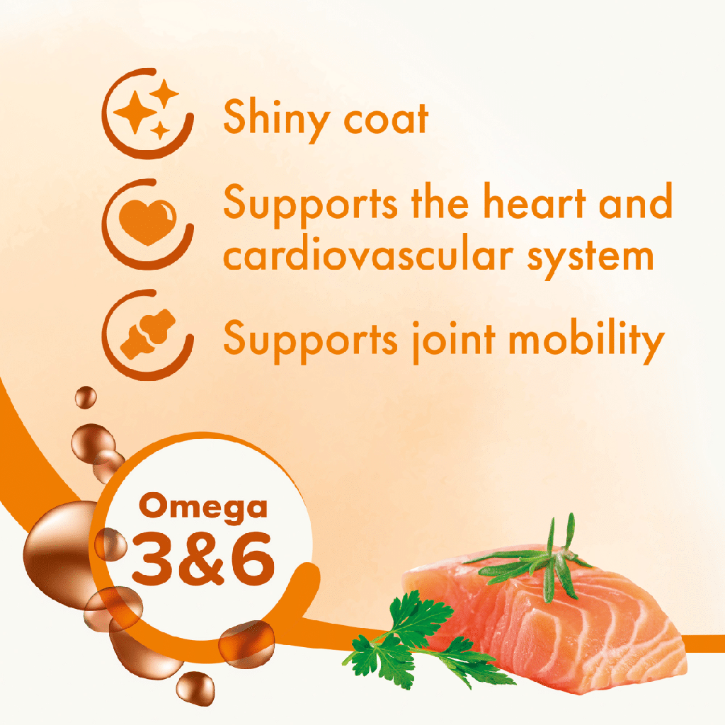 Bioline Norwegian Salmon Oil 250ml Omega-Rich Supplement for Pets