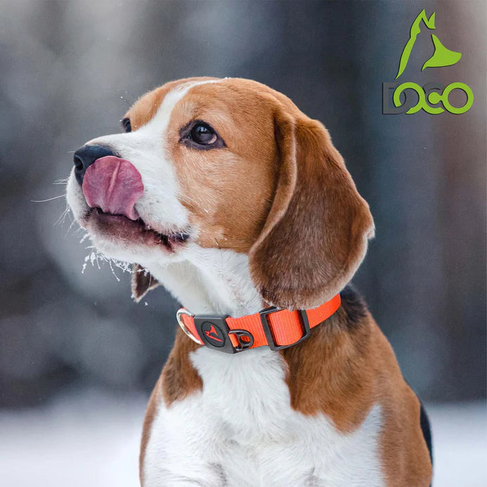 Doco Signature Nylon Dog Collar