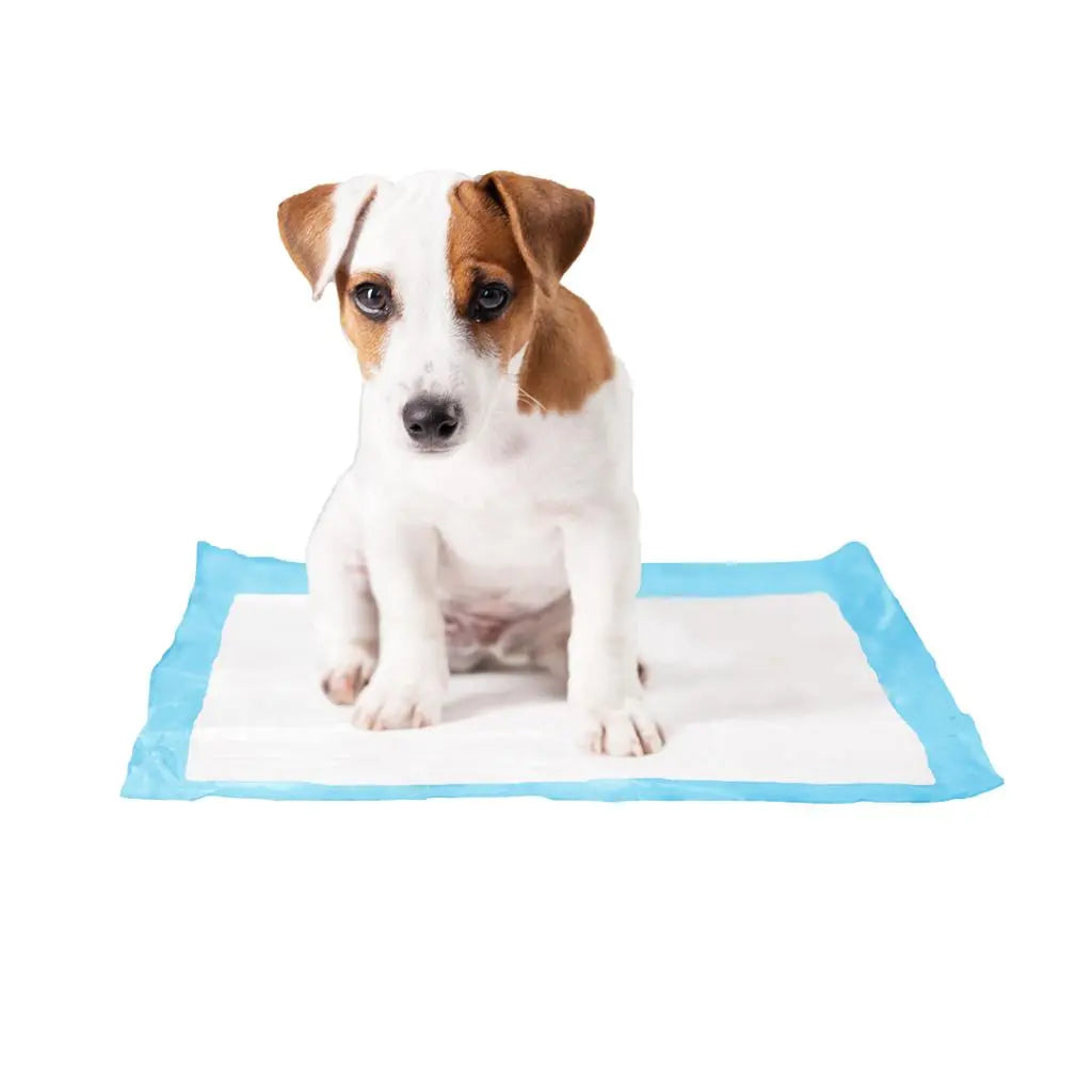Duvo+ Pet Training Pads