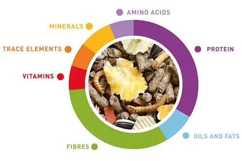 Padovan Wellness Hamsters Food – 1kg Energy-Rich Mix