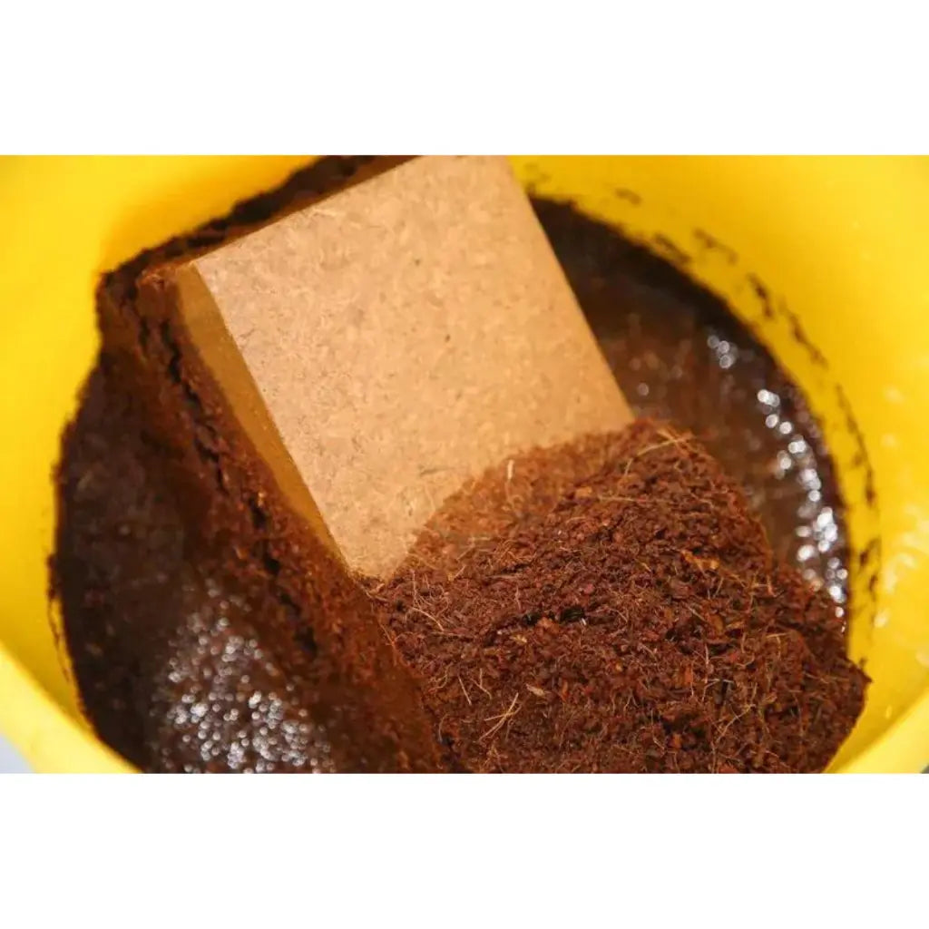 Sera Reptile Coco Soil Substrate – 650g/8L Bio Terrarium Base