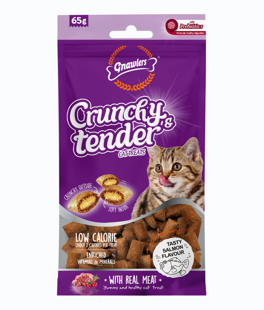 Gnawlers Crunchy & Tender Cat Treats – Salmon Flavor 65g
