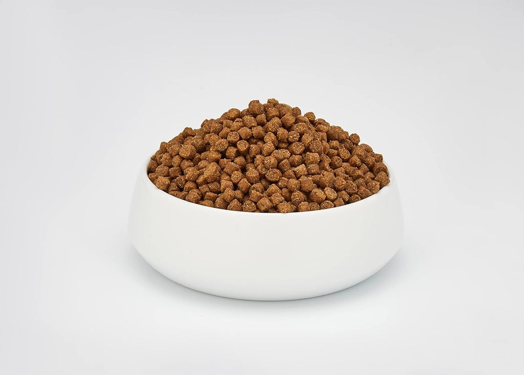 Schesir Adult Dry Cat Food 10kg – Chicken Maintenance