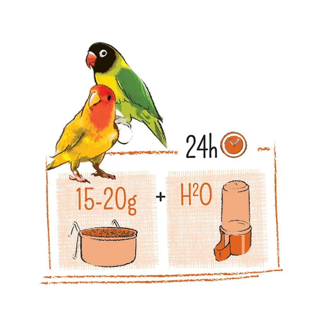 Witte Molen Puur Lovebird Food – 2Kg Enriched Seed Blend