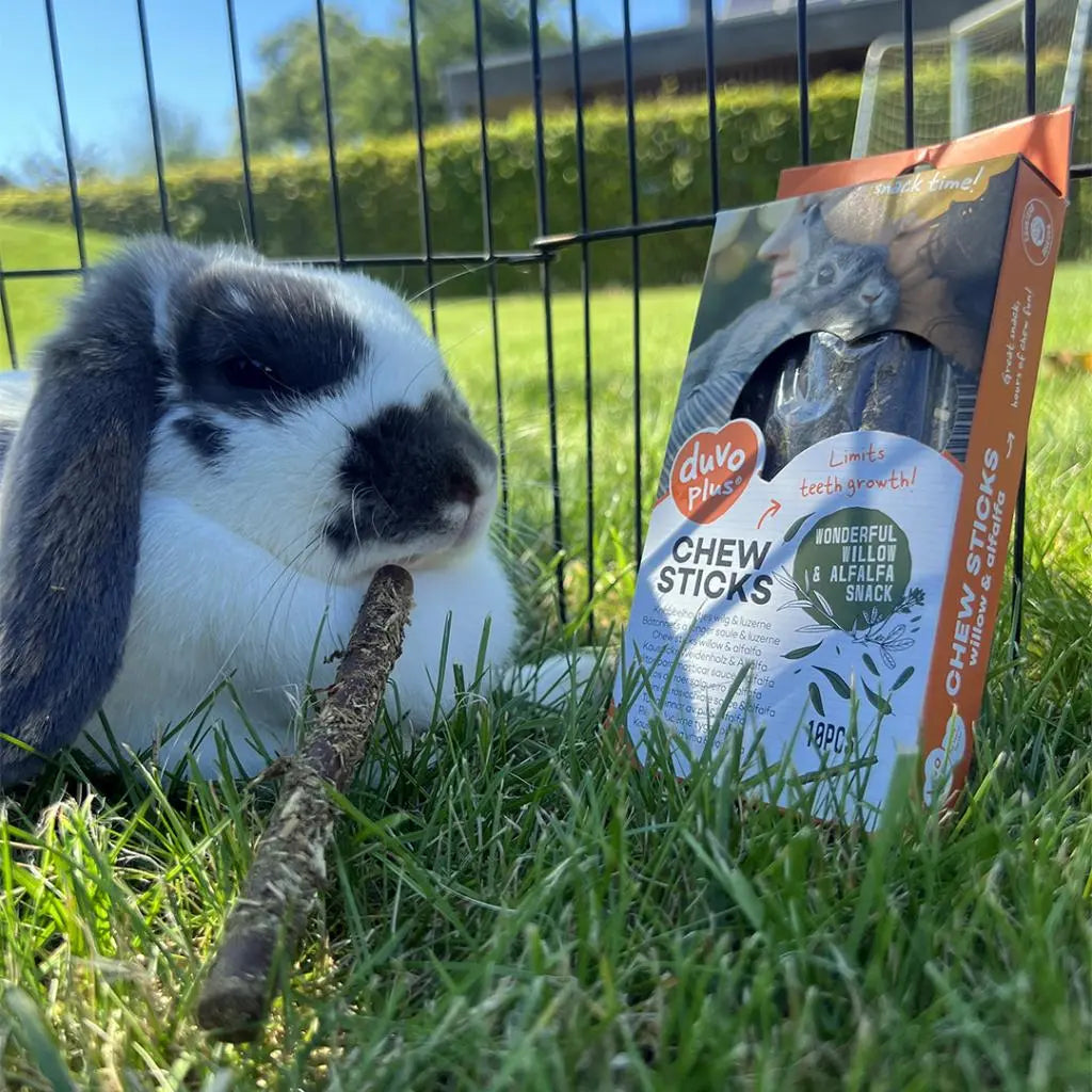 Duvo+ Crispy Chew Sticks Spinach – 50g Green Veggie Treats