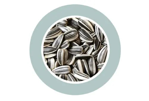 Padovan Sunseeds Premium Bird Seeds – 500g Natural Mix