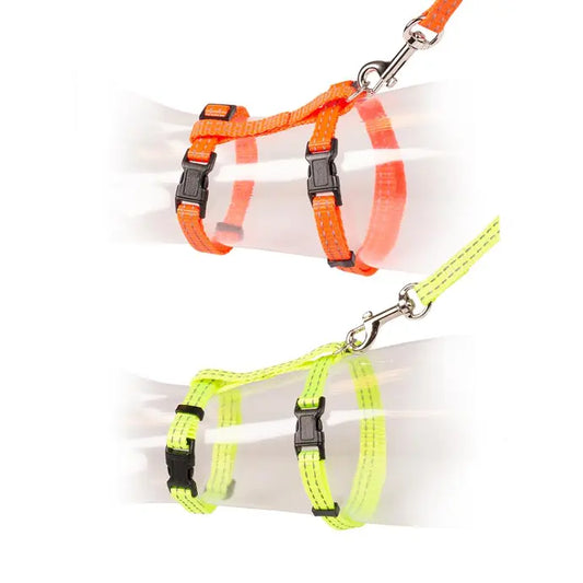 Duvo+ Big Cat Walking Set – Reflective Uni, 30–50cm, 12mm x 125cm