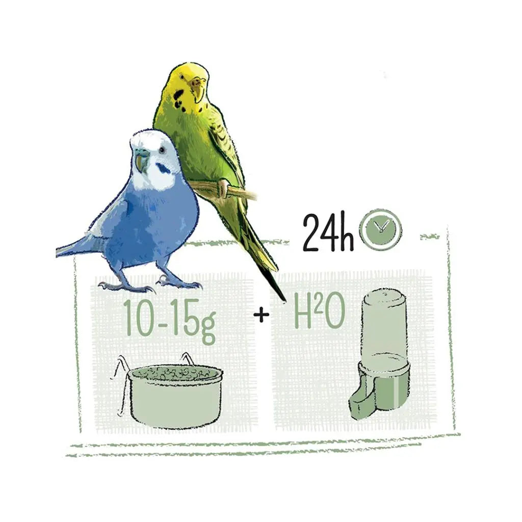 Witte Molen Puur Budgie Food – 2Kg Natural Seed Mix