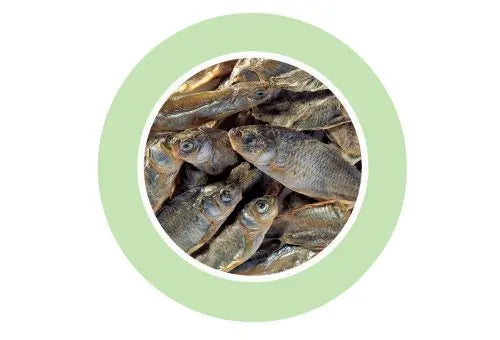 Padovan Fishes – 160g Dried Fish Snack for Dogs & Small Pets
