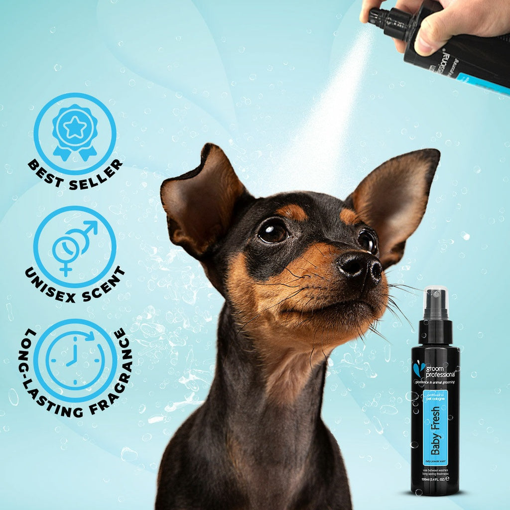 Groom Professional Baby Fresh Cologne – 100ml Pet Perfume
