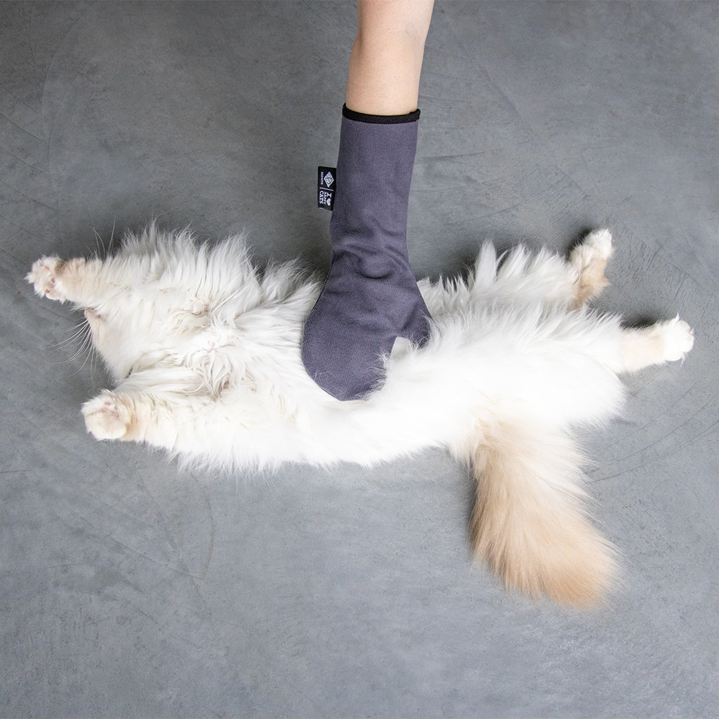 Duvo+ Amber Microfiber Care Glove – 2-Pack Pet Grooming, 35x17x2cm Grey