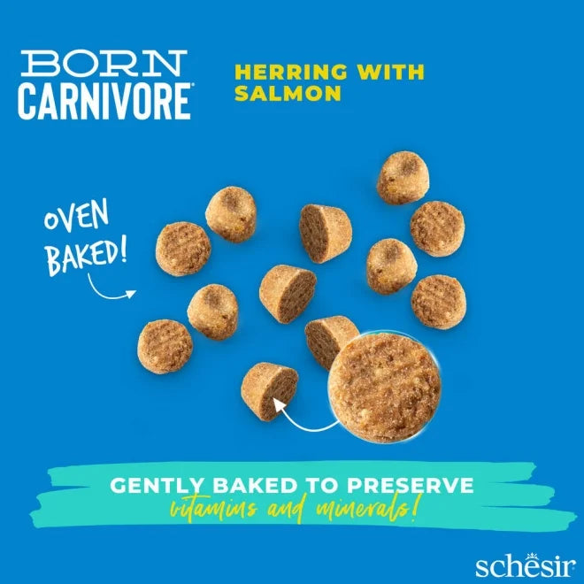 Schesir Born Carnivore Herring & Salmon Dry cat food 1.25kg