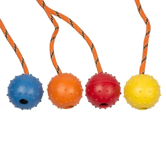 Duvo+ Rubber Dental Ball with Rope – Mixed Colors, 33cm Durable Dog Toy