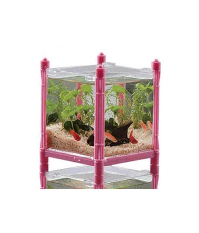 KW Zone Mini Glass Tank – Compact Aquarium for Betta Fish