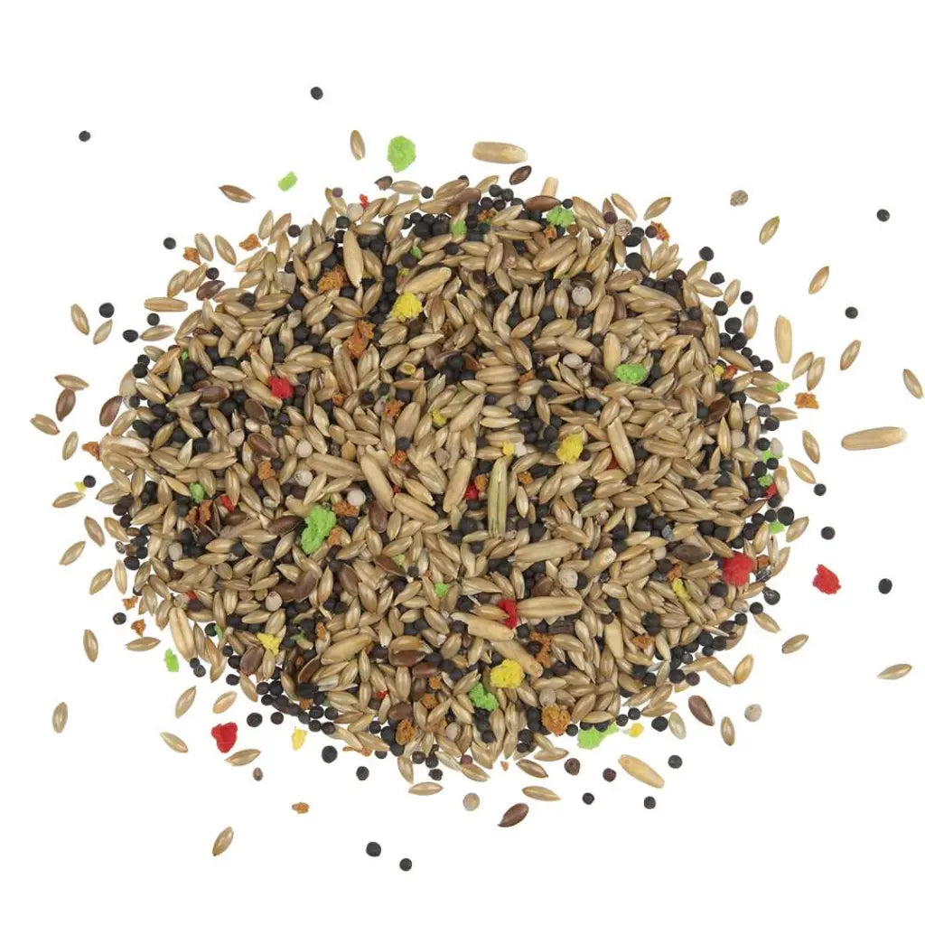 Witte Molen Country Canary Food – 2.5Kg Natural Seeds