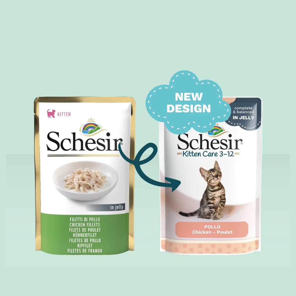 Schesir Kitten Jelly Pouch Chicken Wet Food 85G