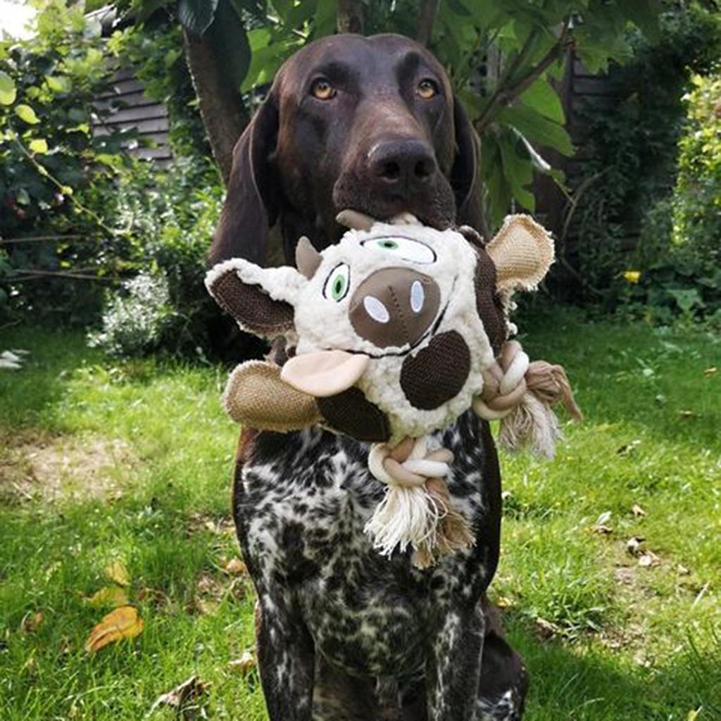 Duvo+ Canvas Plush Cow – Dog Toy