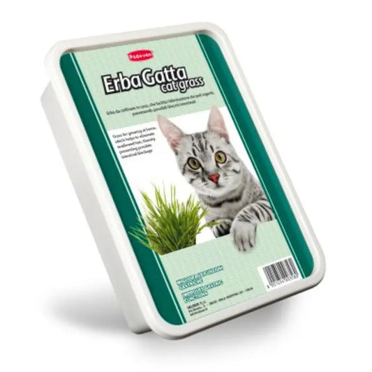 Padovan Erbagatto Cat Grass – Natural Digestive Aid for Cats
