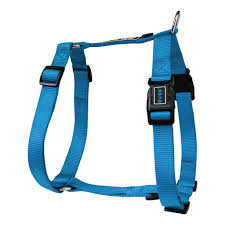 Doco Signature H-Harness For Dogs