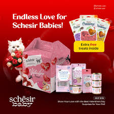 Schesir Baby Valentines Feast Gift Pack Kitten 12pcs