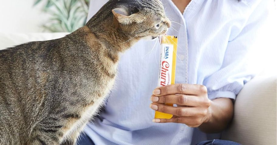 Inaba Churu Creamy Cat Treats With Chicken 4X14G
