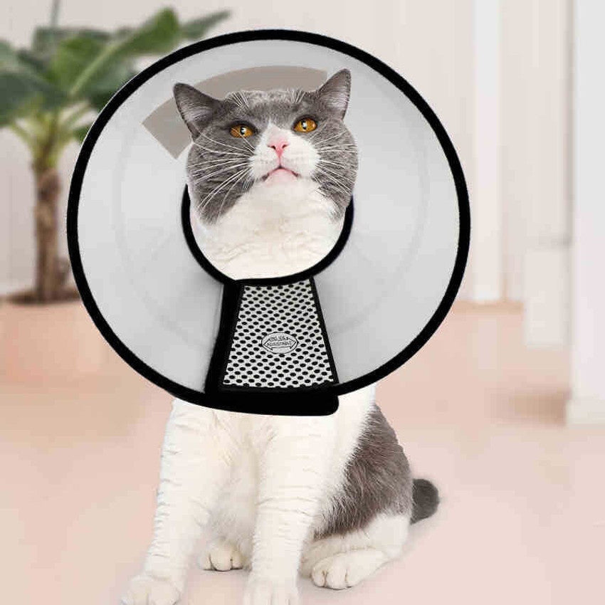 Petbroo Vet Collar Dog & Cats Extra Small Size