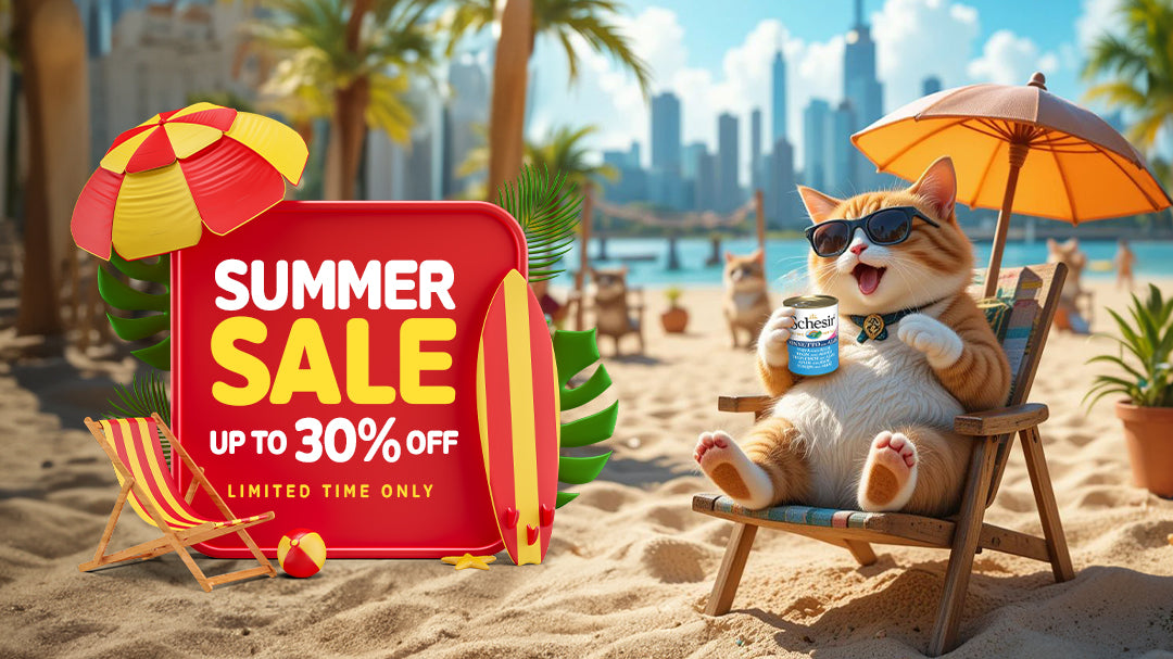 PetCare.ae summer sale banner featuring a happy cartoon cat in sunglasses relaxing on a beach chair with a can of pet food, promoting up to 30% off on pet supplies – limited time only.