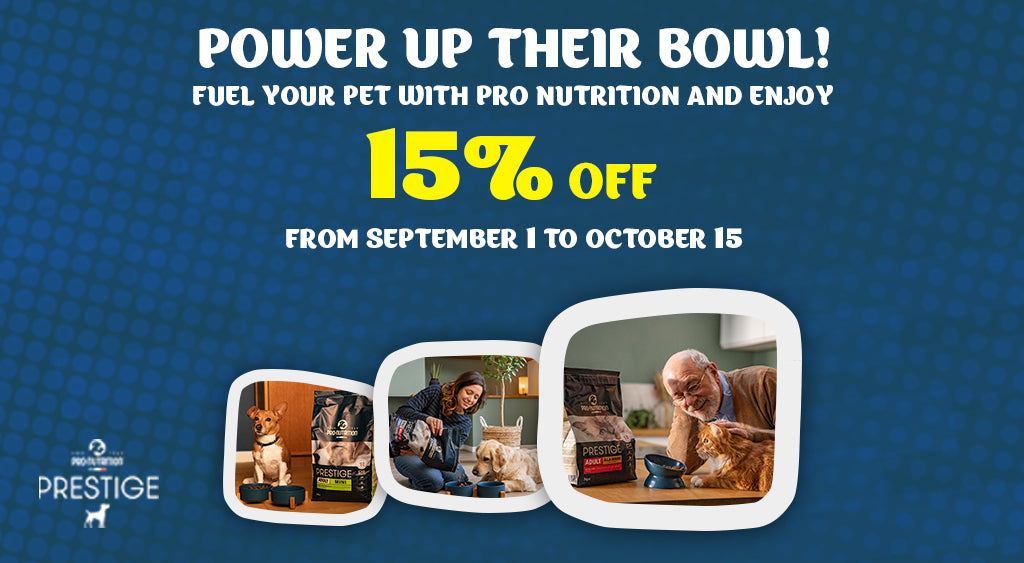 Promotional banner for Pro-nutrition pet food with text and images of people and pets, featuring a 15% discount offer.