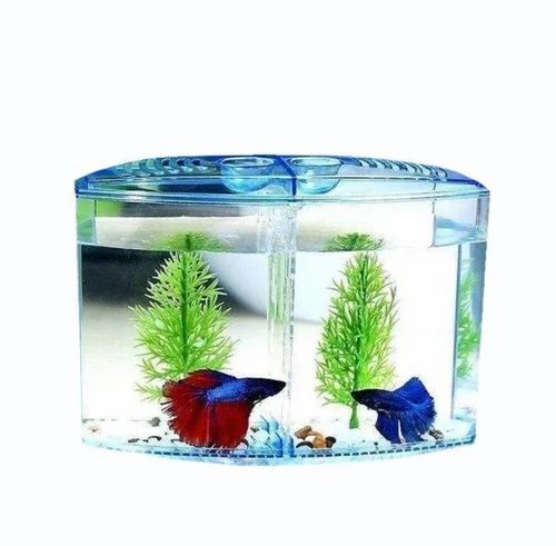 Aquabroo Betta Tank