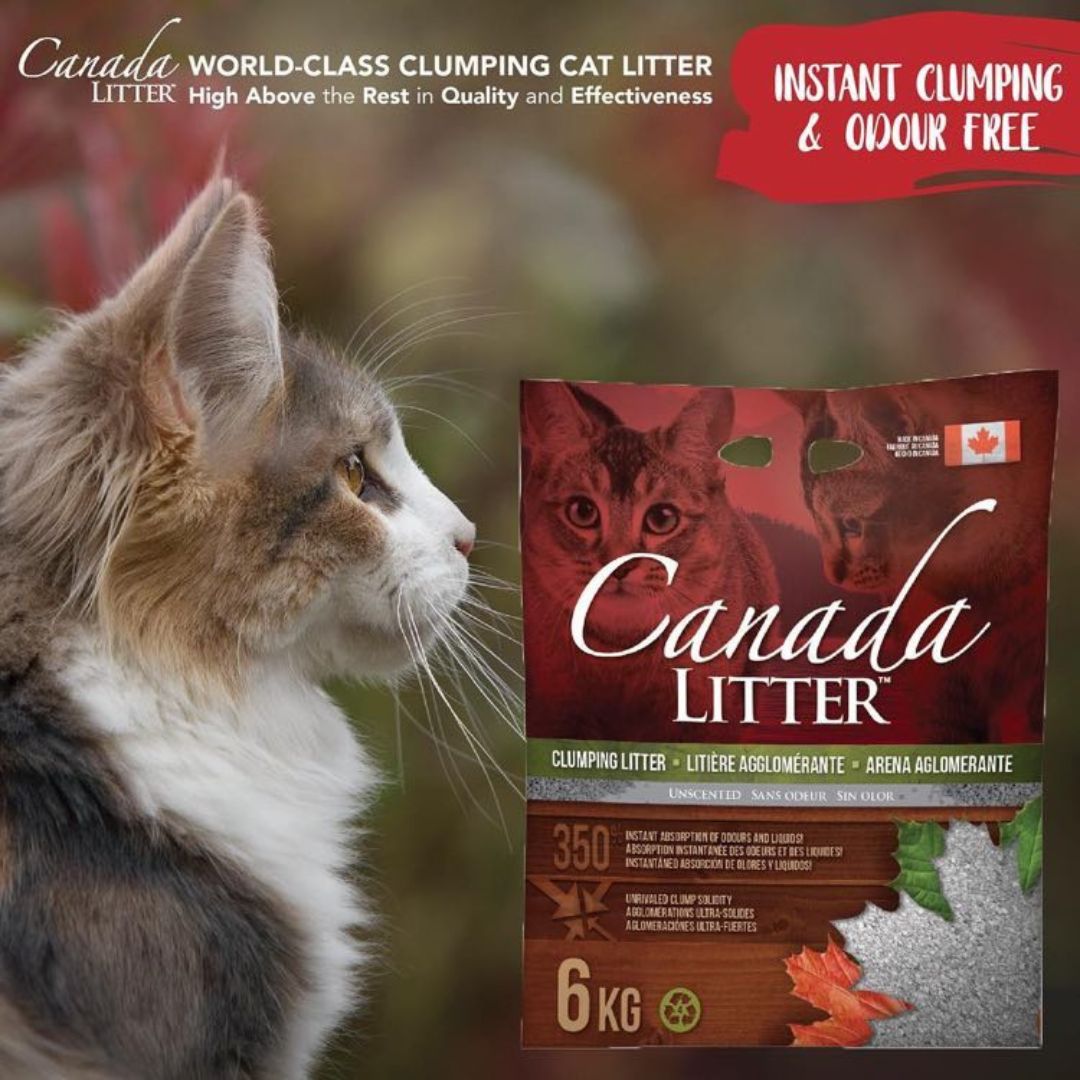 Canada Litter Unscented 6 KG