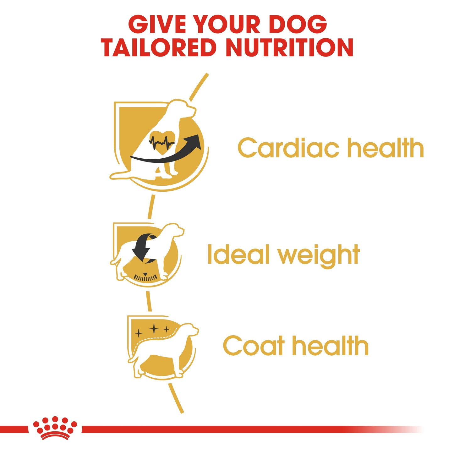 Royal Canin Breed Health Nutrition Cavalier King Charles Adult Dry food 1.5kg