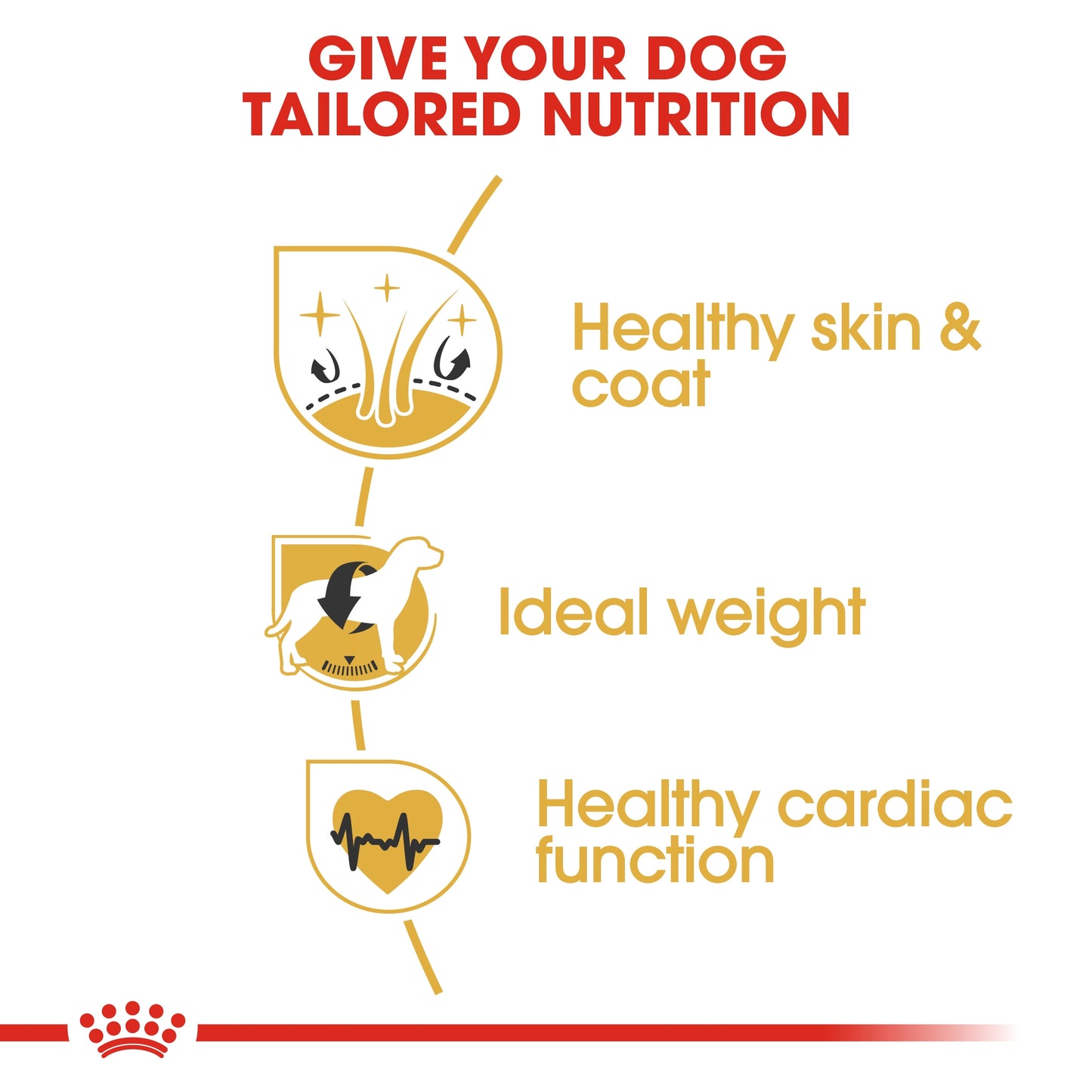 Royal Canin Breed Health Nutrition Cocker Adult Dry Food 3kg