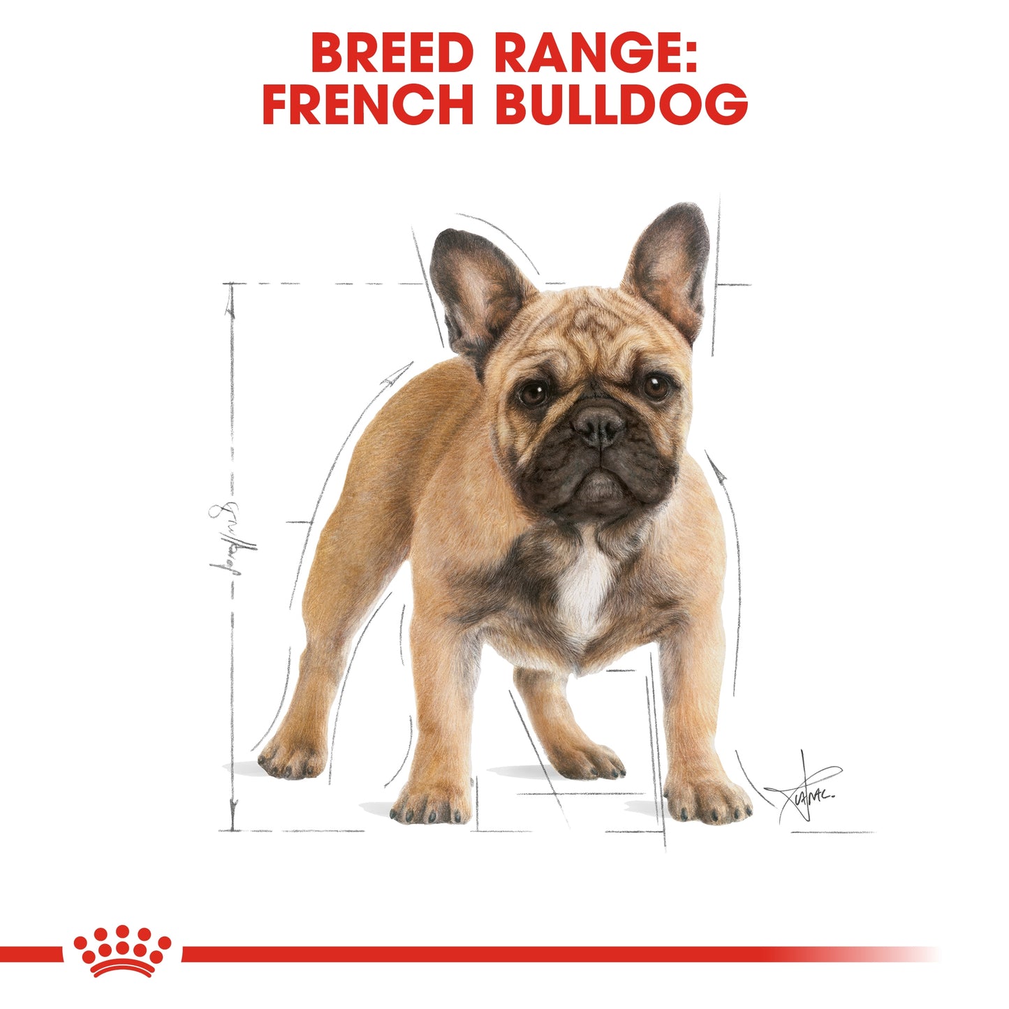 Royal Canin Breed Health Nutrition French Bulldog Adult Dry food 3kg