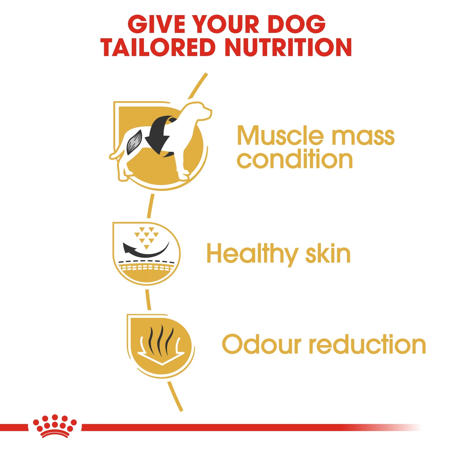 Royal Canin Breed Health Nutrition French Bulldog Adult Dry food 3kg