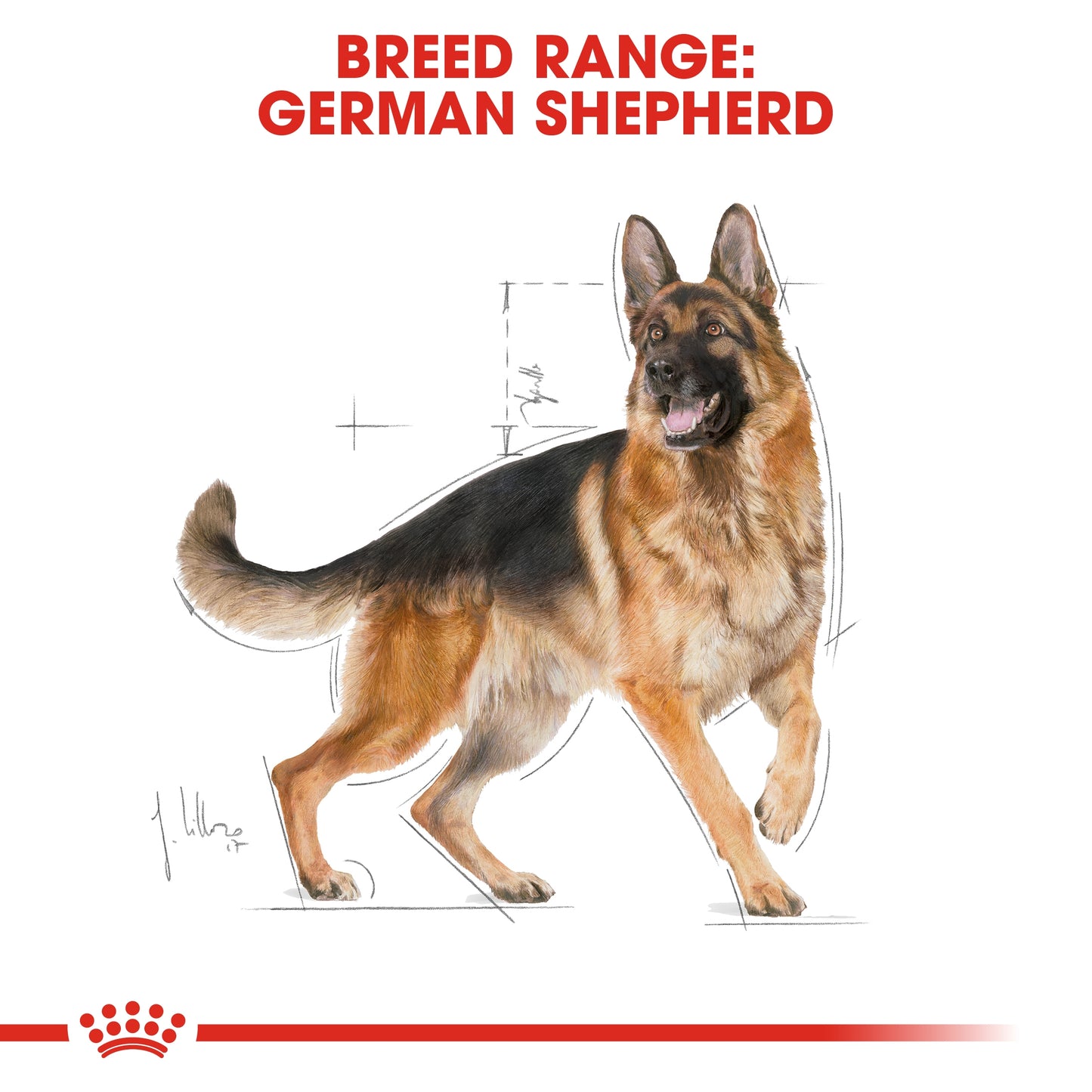 Royal Canin Breed Health Nutrition German Shepherd Adult Dry food 11kg