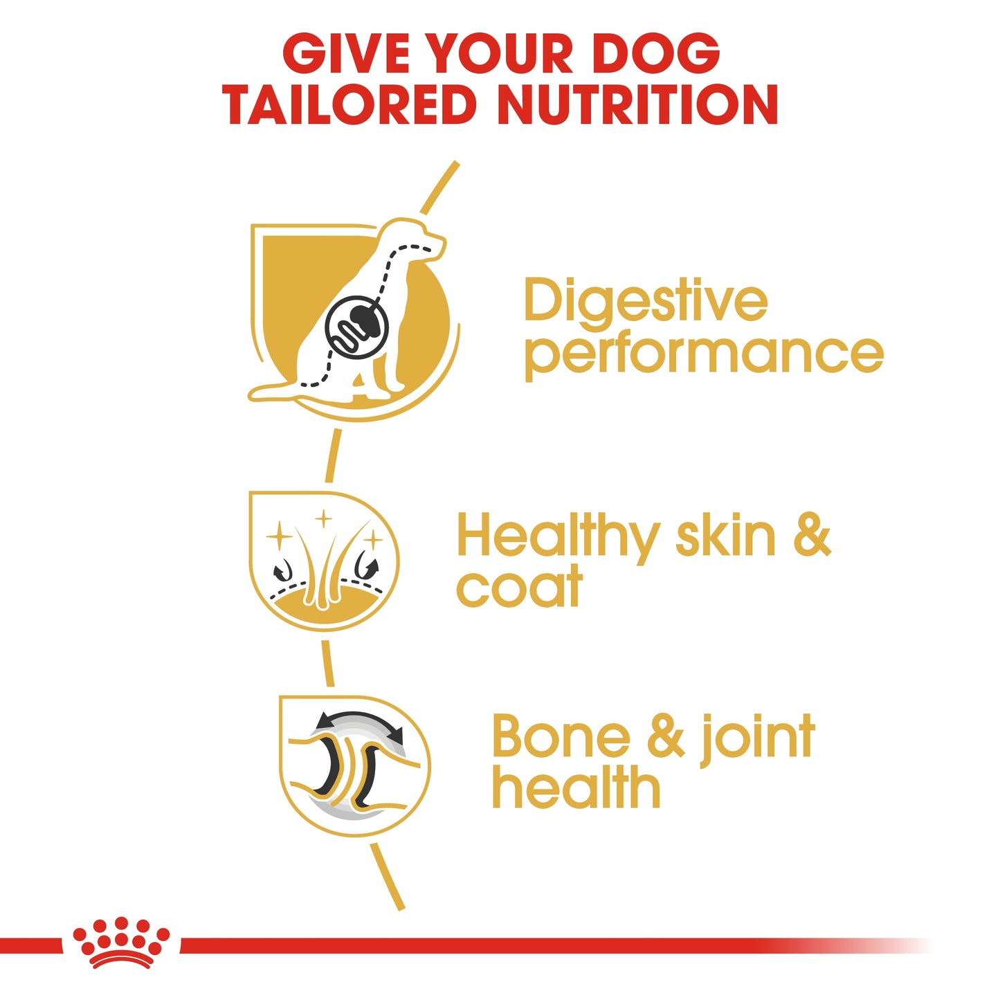 Royal Canin Breed Health Nutrition German Shepherd Adult Dry food 3kg