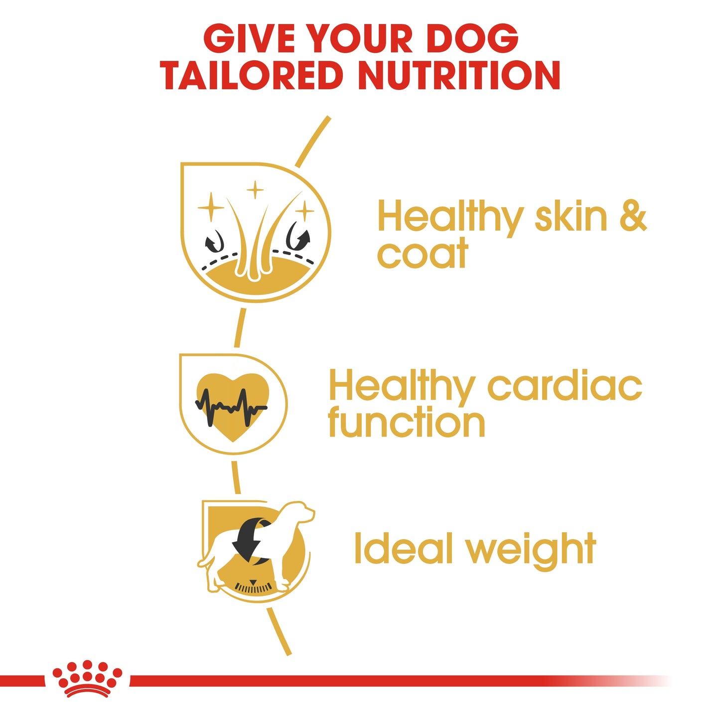 Royal Canin Breed Health Nutrition Golden Retriever Adult Dry food 12kg