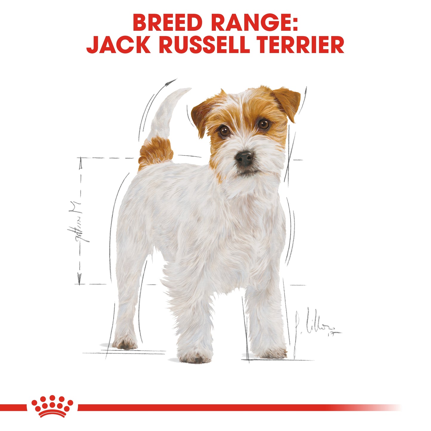 Royal Canin Breed Health Nutrition Jack Russell Adult Dry food 1.5kg