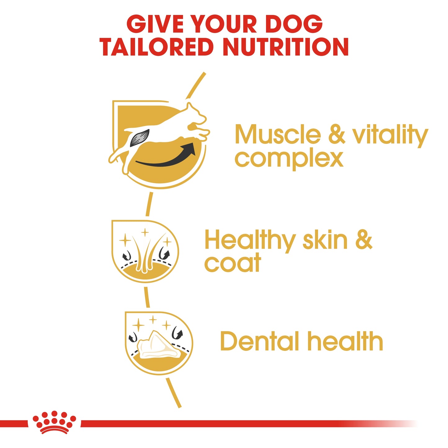 Royal Canin Breed Health Nutrition Jack Russell Adult Dry food 1.5kg