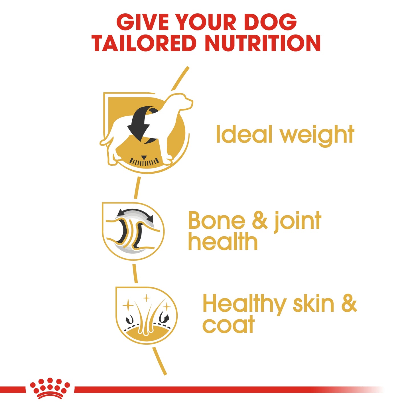 Royal Canin Breed Health Nutrition Labrador Adult Dry food 12kg